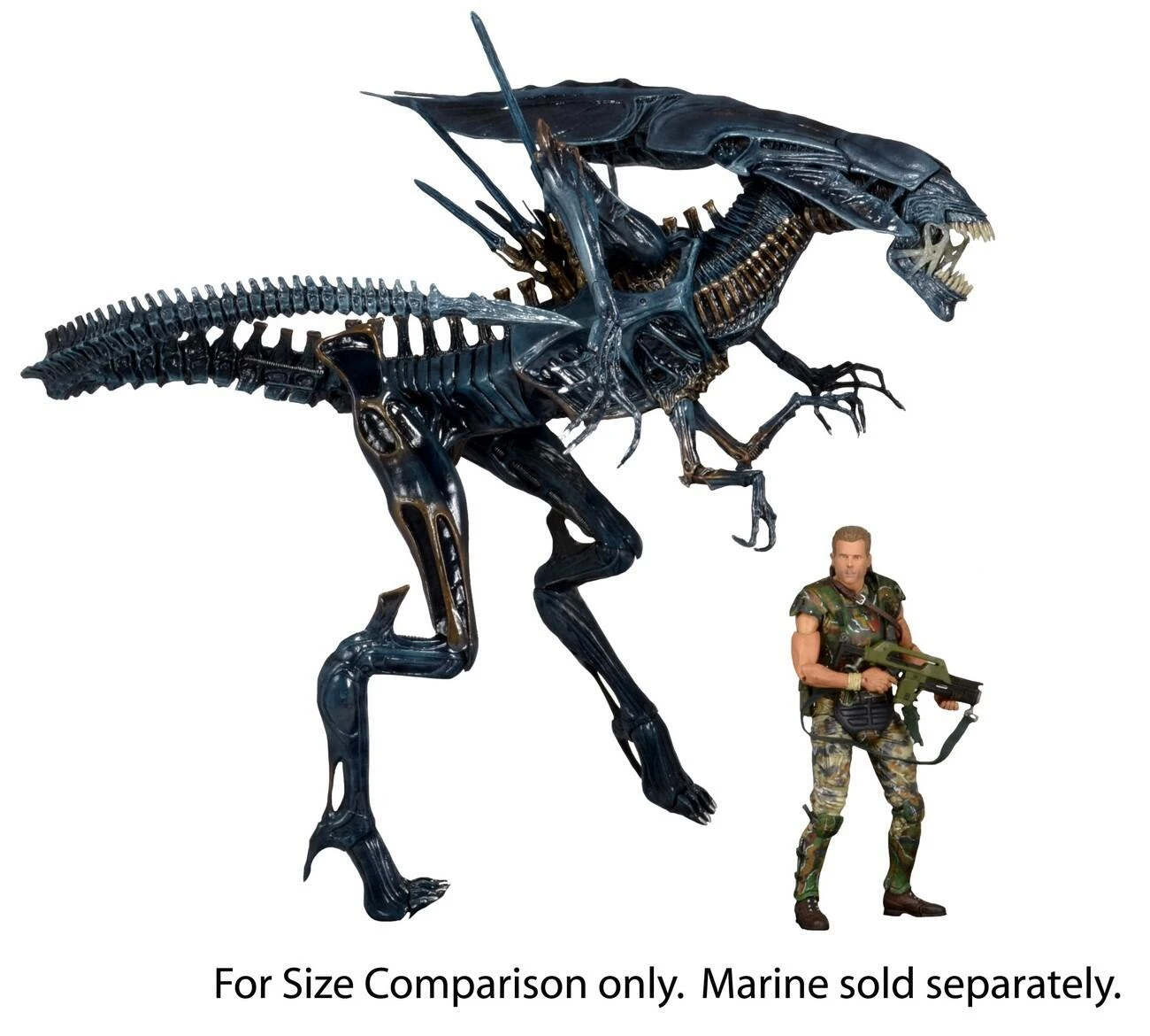 NECA *PRE-ORDER Aliens Ultimate 7 Inch Scale Deluxe Boxed Action Figure - Alien Queen - Image 4